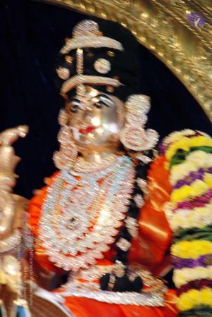 20081003DSC 0018 CMP WM00100.jpg