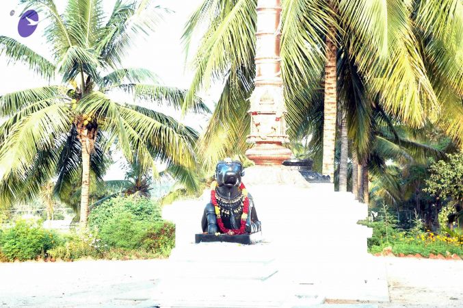 20081004DSC 9723 CMP WM00100.jpg