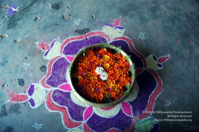 20081004DSC 9726 CMP WM00100.jpg