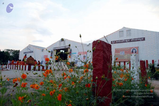 20081009DSC 0288 CMP WM00100.jpg