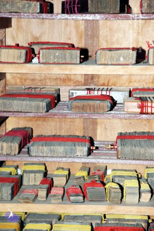 20081015 DSC 0013 CMP WM 11.jpg