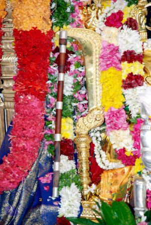 20081015 DSC 0210 CMP WM 11.jpg