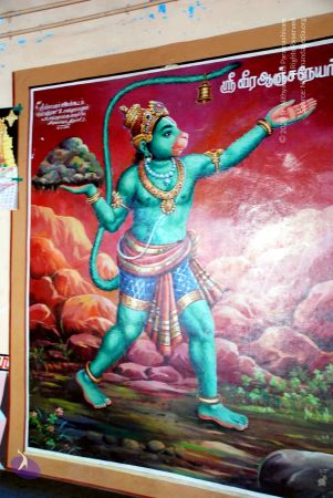 20081015 DSC 0242 CMP WM 11.jpg