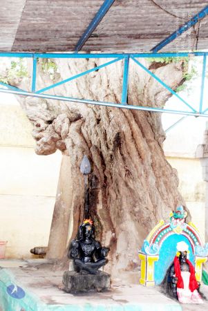 20081015 DSC 0251 CMP WM 11.jpg