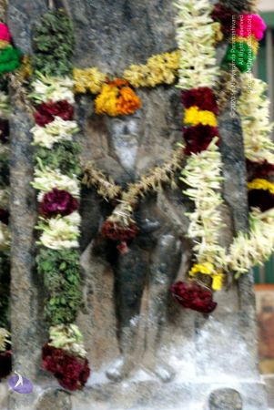 20081015 DSC 0300 CMP WM 11.jpg