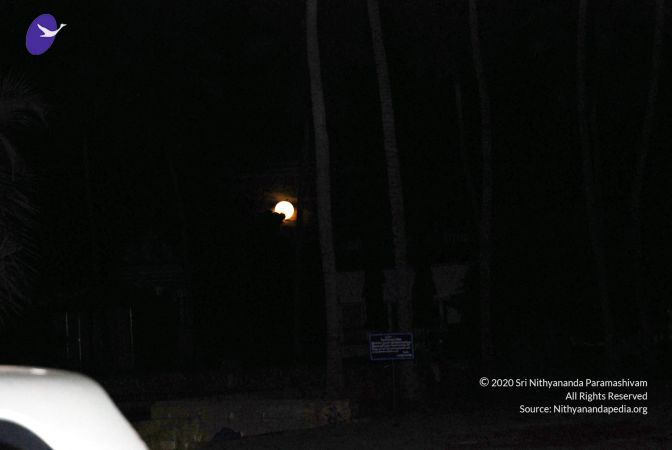 20081015 DSC 0302 CMP WM 11.jpg