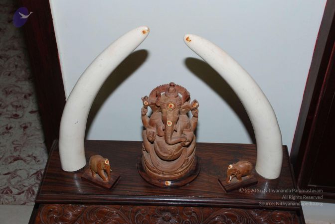 20081015 Photo 1131 10lpuzAIQ56jnpr-rfQ1g3AMi2NS24ajk.JPG