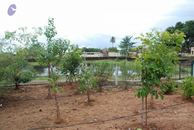 20081015 Photo 1186 1FLFm39cTYCIQsTk0vCOSY9ffpq6xw5yC.JPG