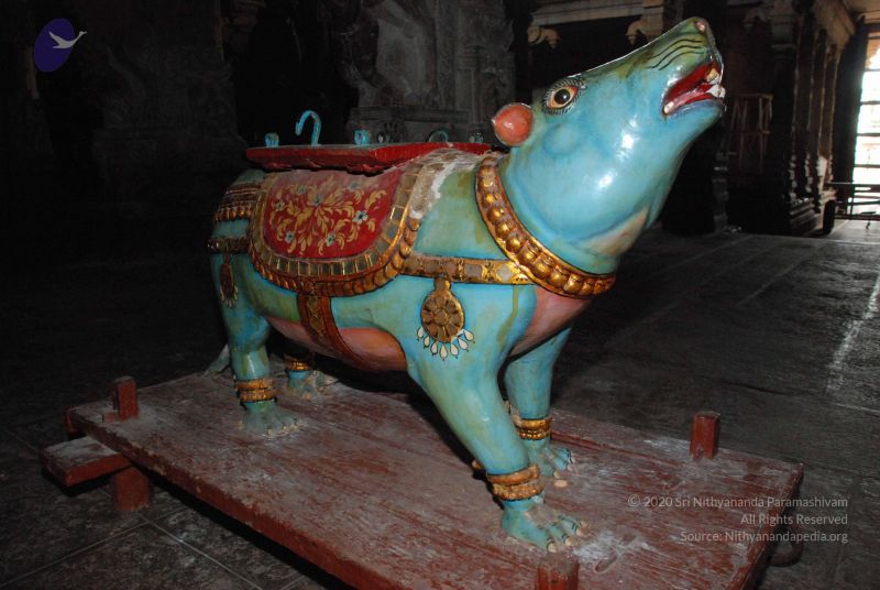 File:20081015 Photo 1589 1sJQMYRxgRkQvob1as-Djbb0tidFGJMCU.JPG