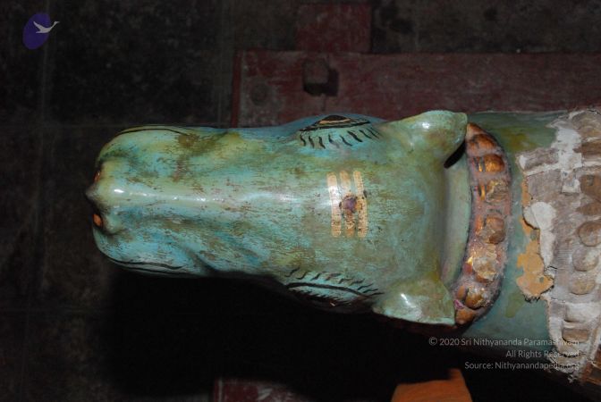 20081015 Photo 1596 1yv7EFqrEooYW32Zayu6r9jP5igUowoI6.JPG