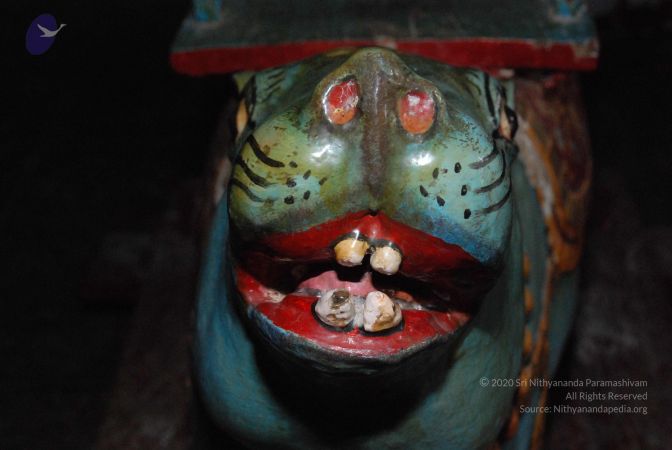 20081015 Photo 1597 1XQqxOGNy9KE2aBF5RyIaCmJ6mMkAvRai.JPG