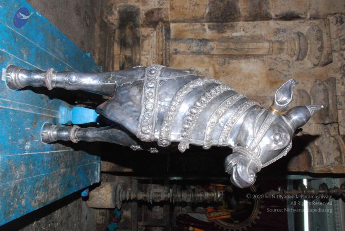 20081015 Photo 1647 1nXNqMkl84CfWRN4aCZeNunj6J8nwbZ34.JPG