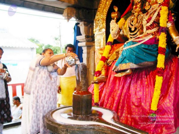 20081019 IMG 0060 CMP WM 00.jpg