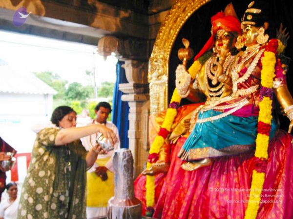 20081019 IMG 0081 CMP WM 00.jpg