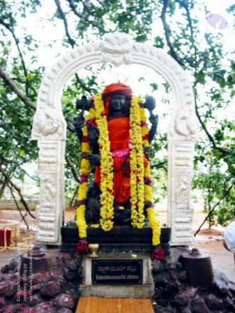 20081019 IMG 0105 CMP WM 00.jpg