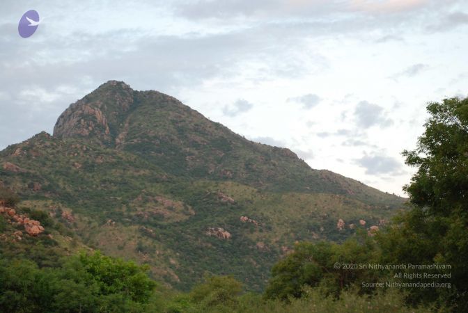 20081019 Photo 1120 1N7fRGxkAJgLgafLq6RAlH0s7SZoY0kSe.JPG