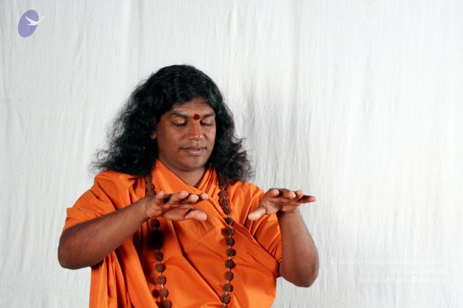 20081210 IMG 3937 CMP WM01.jpg