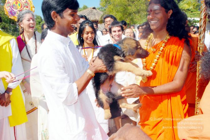 20081223 DSC 1518 CMP WM1.jpg