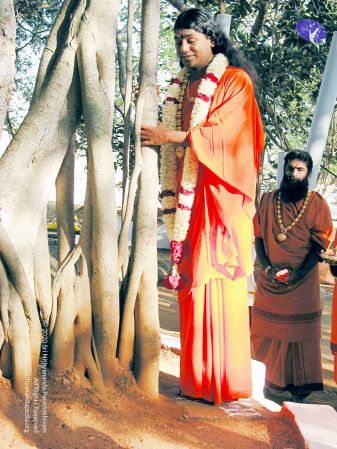 20081223 IMG 0084 CMP WM1.jpg