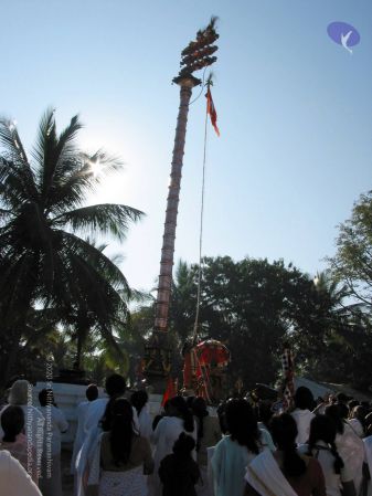 20081223 IMG 0151 CMP WM1.jpg