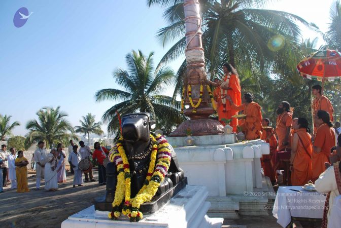 20081223 Photo 1219 1cks3751NZZ2tVnI CSbDRUO5L0L5i6TM.JPG