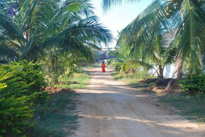 20081223 Photo 2453 1QaJxei bemb-jsu3ibZRRd-g1Nf389Cr.JPG