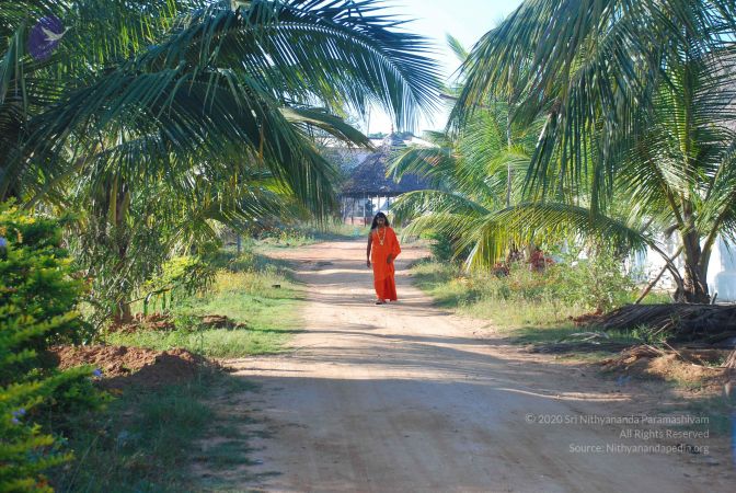 20081223 Photo 2456 11wH9DYieP yFjFh8UfnQJepXmchjhOym.JPG