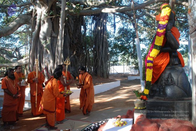 20081223 Photo 2578 1GYGEn5bidSSEsboZugJMAlL2l0mPl7xq.JPG