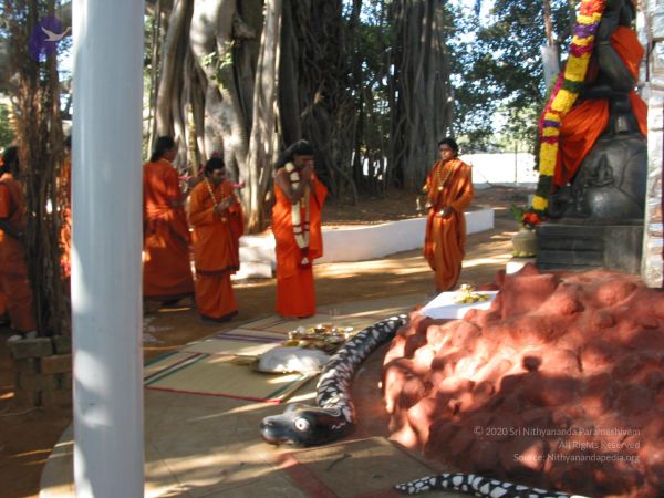 20081223 Photo 2825 1lShLrCnyk5up2LMcbIAH3N0Qw5XJx7hP.JPG