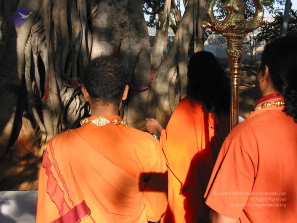 20081223 Photo 2829 1AvAvgScpZchLxzvS8HvvTPupQQbn568u.JPG