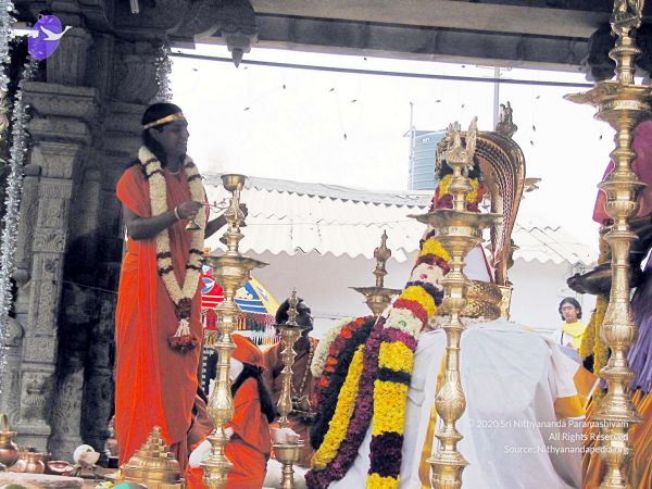 20081224 IMG 0071 CMP WM33.jpg