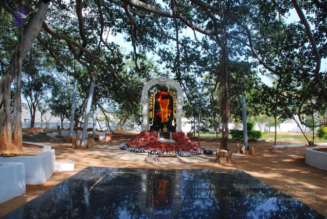 20081224 Photo 1335 1ilw0TA DHU2cxFhuBXjzqTH4bEARZYpv.JPG