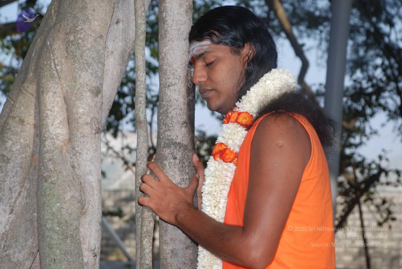 File:20081225 Photo 1080 11Meu6l-AFYTi7rc9 lkcUEu3oxfUINBu.JPG