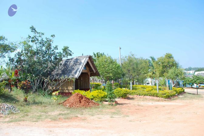 20081225 Photo 1392 1-BPUBpULteLtZK1ZAjrtQW3lBEu9D 6d.JPG