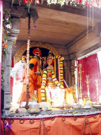 20081227 IMG 0397 CMP WM 0000.jpg