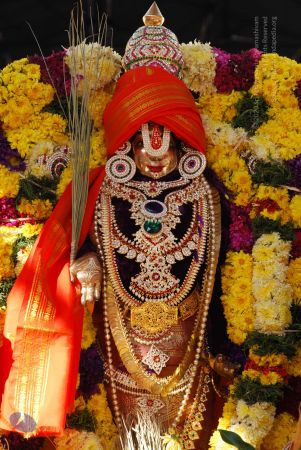 20081228 Photo 1602 1OvUQ5-PAL5lPMPMAmTVsdJECA-7 5UFc.JPG