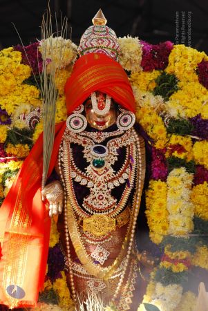 20081228 Photo 1605 1HlJwUzX5YL8TPjY9wYRDk81vlgiesyJ-.JPG