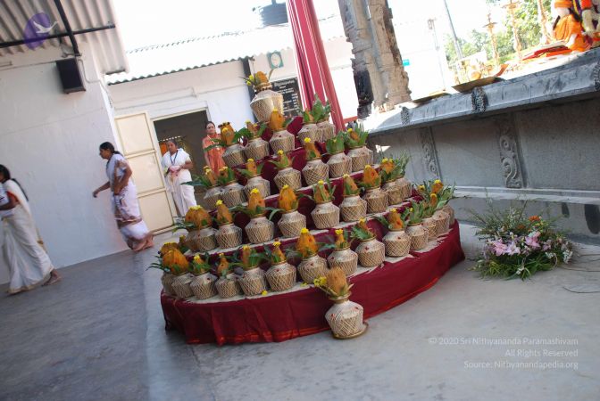 20081228 Photo 1618 10DR3JHQhMIvGR3xbf8XI-pYK5-qos 6Y.JPG