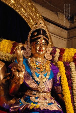 20081228 Photo 1772 1RGus8umNCYhnxS9EV3H8HfvqjQEdH3fW.JPG