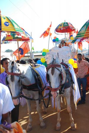 20081229 Photo 1222 1bozChPh94p2oinsJAdvOH349nJDWJ2fy.JPG