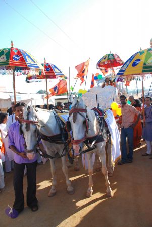 20081229 Photo 1223 10NtxNIOoUPktBUxomEPPvPU NSPrSXrK.JPG