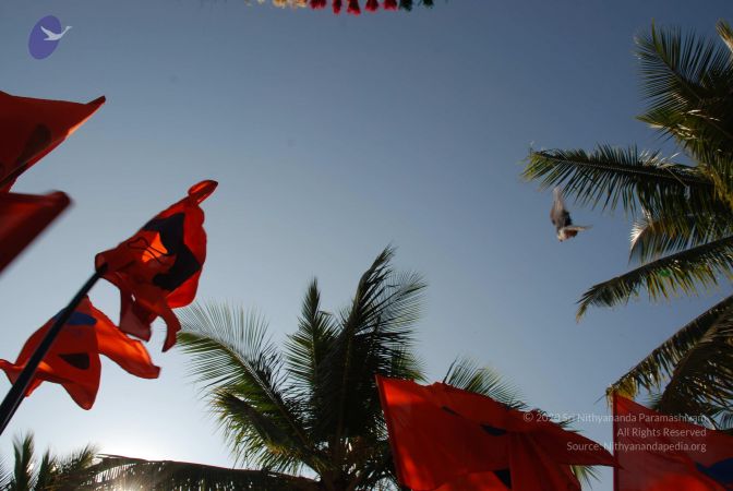 20081229 Photo 1501 1v2DcCmQJItub9OFZlPACfVZb4tBxBWwo.JPG