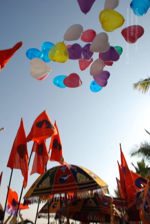 20081229 Photo 1517 1giZMwWBg7ggbqIUebQ3EIS12RV2w9odJ.JPG