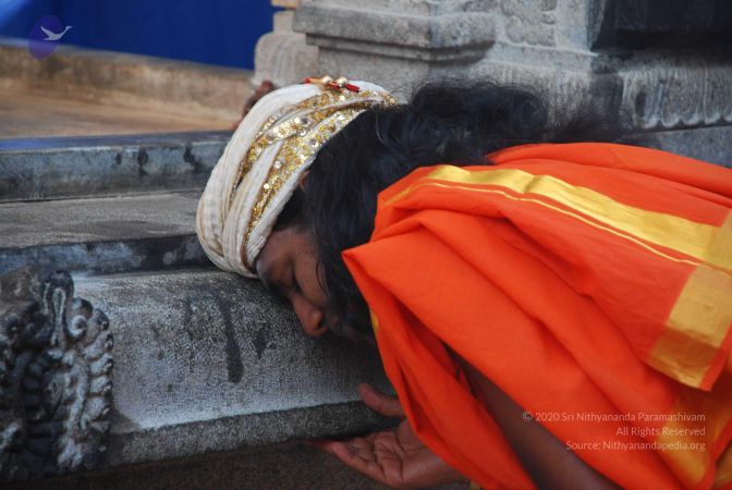 20081229 Photo 1602 1hONIF41K627AUbCwi12kJPqJ ETIIBPX.JPG