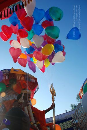 20081229 Photo 3696 1bRU7SOiguW42J8P3WBWFl9CUB4NYrCrD.JPG