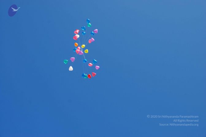 20081229 Photo 3950 1s ifbo5hbj1iTcb3zpOrEi IvuciVIl0.JPG