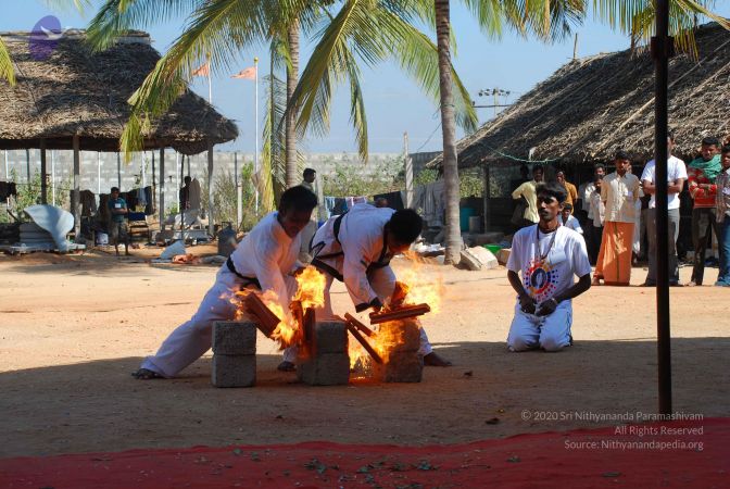 20081229 Photo 4614 1YslcqhzEvD6nvNB4puSpp5vb3v9UpM9z.JPG