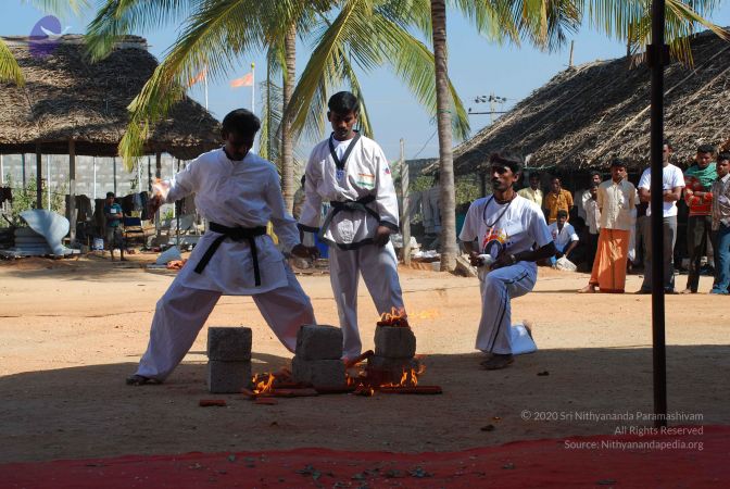 20081229 Photo 4615 1Srf02UDbdqqFxWjXSLaXFUn8aFgWT7GK.JPG