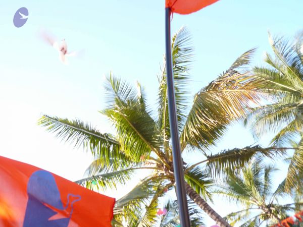 20081229 Photo 4985 1ybifBpS6dMK0Ks6crtu3Ldas qXiJl 1.JPG