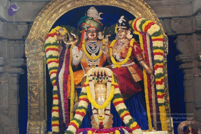 20081230 Photo 1051 1MgiDP0ZsJqkduyomjG2opj aOU maBdb.JPG